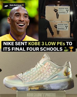 Image post by @soleretriever on Instagram