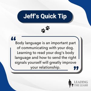 Image post by @leadingtheleashllc on Instagram