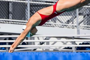 Image post by @arenausa on Instagram