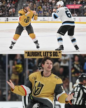 Image post by @vegasgoldenknights on Instagram