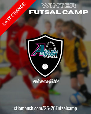 Image post by @stlouisambush on Instagram