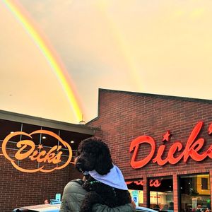 Image post by @dicksdrivein on Instagram