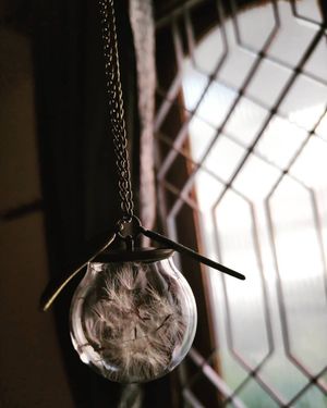 Image post by @leafyaffair on Instagram