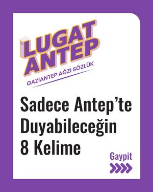 Image post by @lugatantep on Instagram