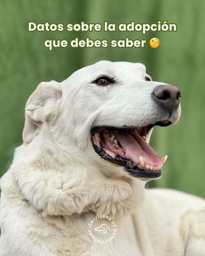 Image post by @tierradenando on Instagram
