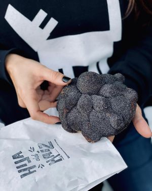 Image post by @eatcoyotas on Instagram