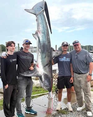 Image post by @pineislandmarina on Instagram