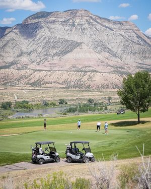 Image post by @cologolf on Instagram