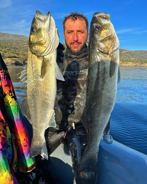 Image post by @erdo_bey_spearfishing on Instagram