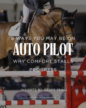 Image post by @theplaidhorsemag on Instagram