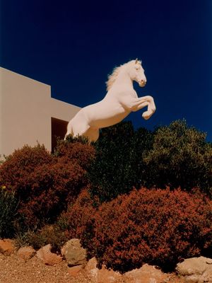 Image post by @fubiz on Instagram