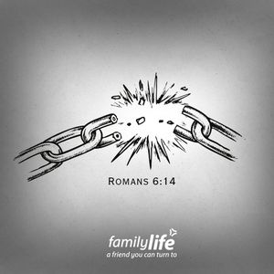 Image post by @familylifenypa on Instagram