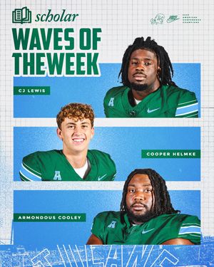 Image post by @greenwavefb on Instagram