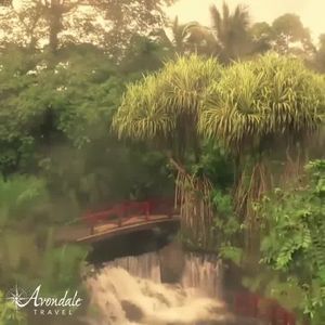 Video post by @AvondaleTravel on Facebook