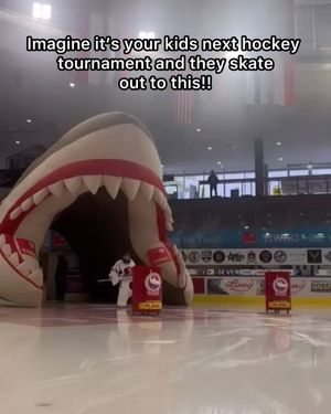Image post by @howtohockey on Instagram