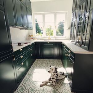 Image post by @pupcorntreats on Instagram