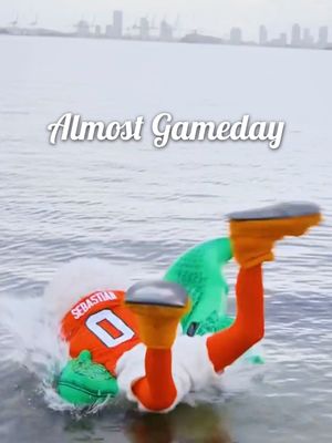 Video post by @mccrosky.creative on TikTok