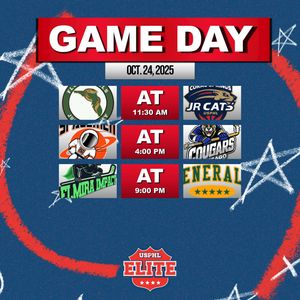 Image post by @usphlhockey on Instagram