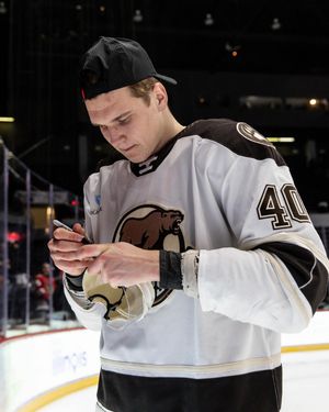 Image post by @thehersheybears on Instagram