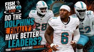 Video post by @dolphinstalk on YouTube