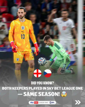 Image post by @efl on TikTok