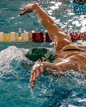 Image post by @csuswimdive on Instagram