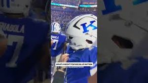 Video post by @cfbonfox on YouTube