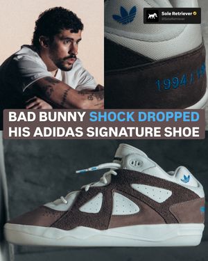 Image post by @soleretriever on Instagram
