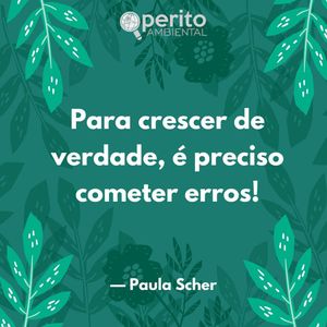 Image post by @operitoambiental on Instagram