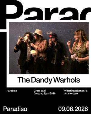 Image post by @thedandywarhols on Instagram