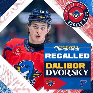 Image post by @thunderbirdsahl on Instagram