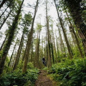 Image post by @vitusbikes on Instagram