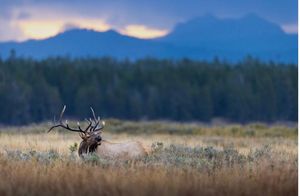 Image post by @huntsphotovideo on Instagram