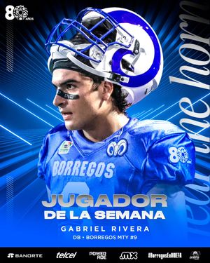 Image post by @borregostec on Instagram