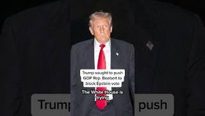 Video post by @msnbc on YouTube