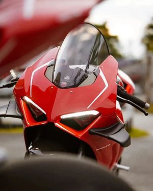 Image post by @panigalers on Instagram