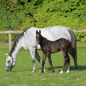 Image post by @juddmonte on Instagram