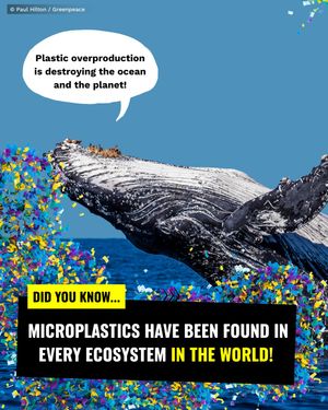 Image post by @greenpeace on Instagram