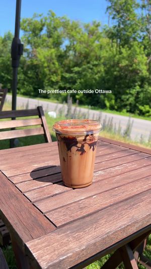 Video post by @morgan.exploring on TikTok