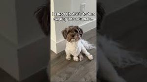 Video post by @ambargarciatv on YouTube