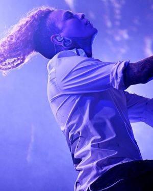 Image post by @palms on Instagram