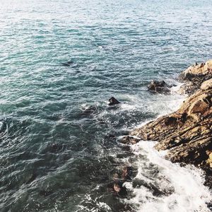 Image post by @elysel on Instagram