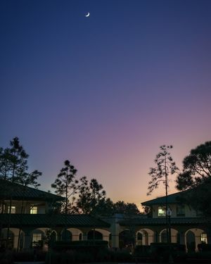 Image post by @fgcu on Instagram