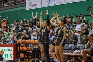 Image post by @stlsurge on Instagram