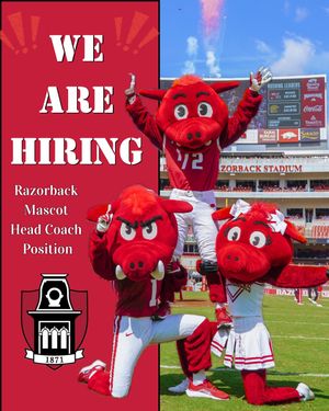 Image post by @razorbackmascots on Instagram
