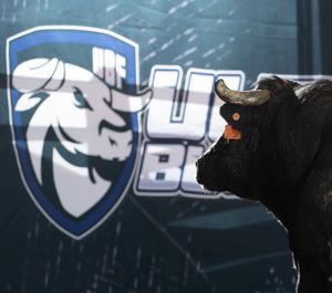 Image post by @ultimatebullfighters on Instagram