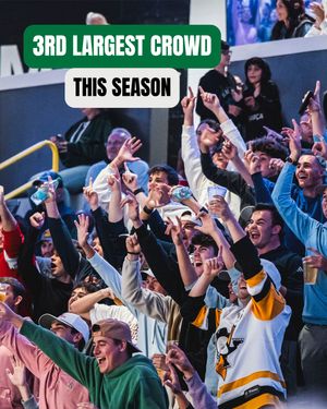 Image post by @fl_everblades on Instagram