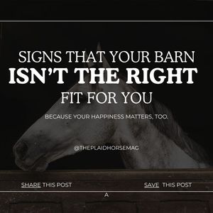 Image post by @theplaidhorsemag on Instagram