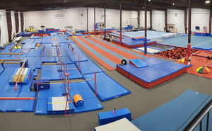 Image post by @USAGymnastics on Facebook