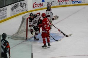 Image post by @pamwithdacam on Instagram